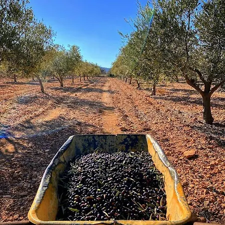 Vista Valle Σπίτι διακοπών *